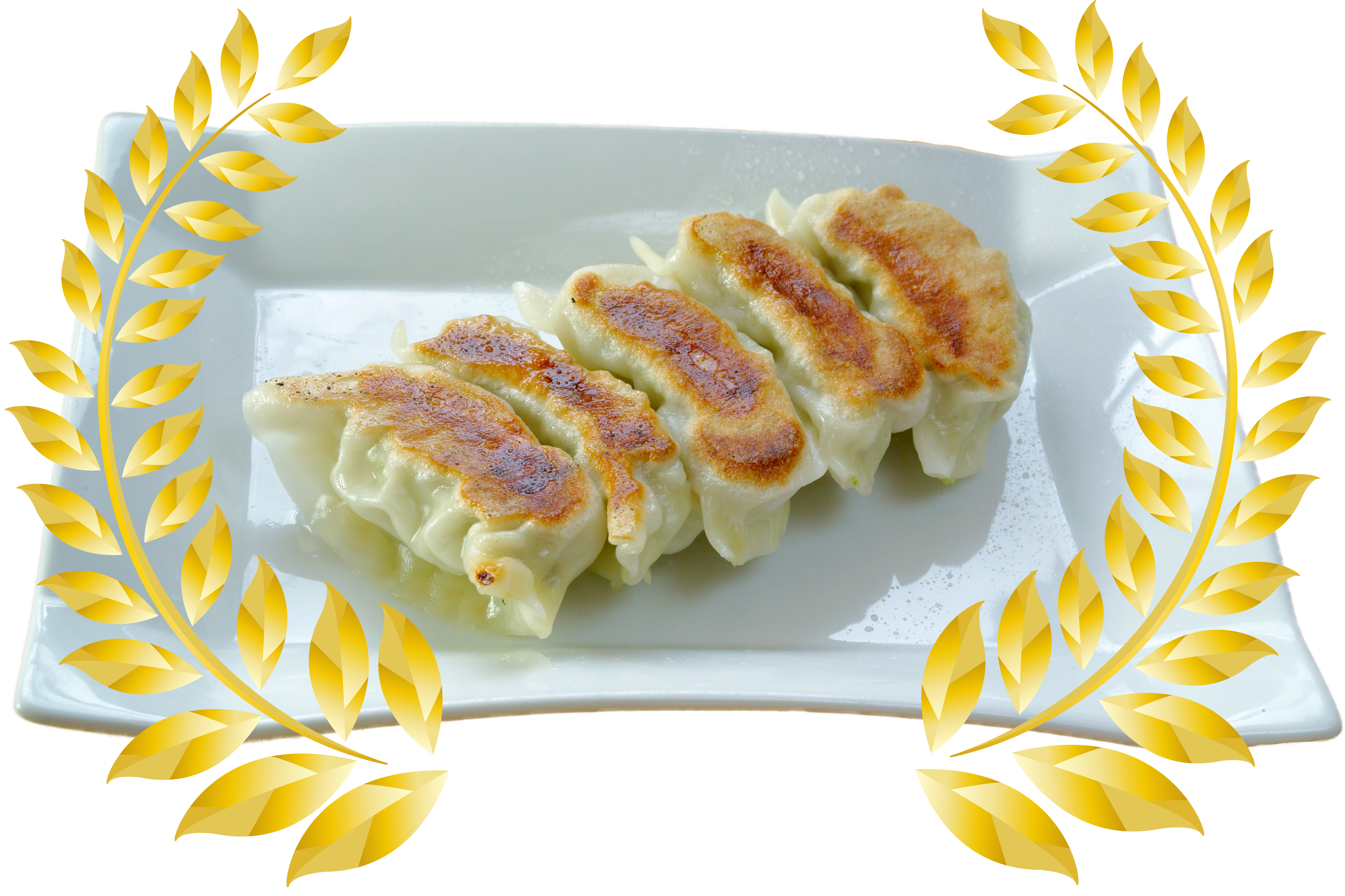 Gyoza Image